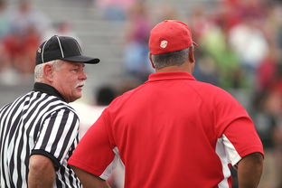 九游官网pc-意甲裁判语义分析辅助判罚准确性的应用探讨，意甲裁判名单