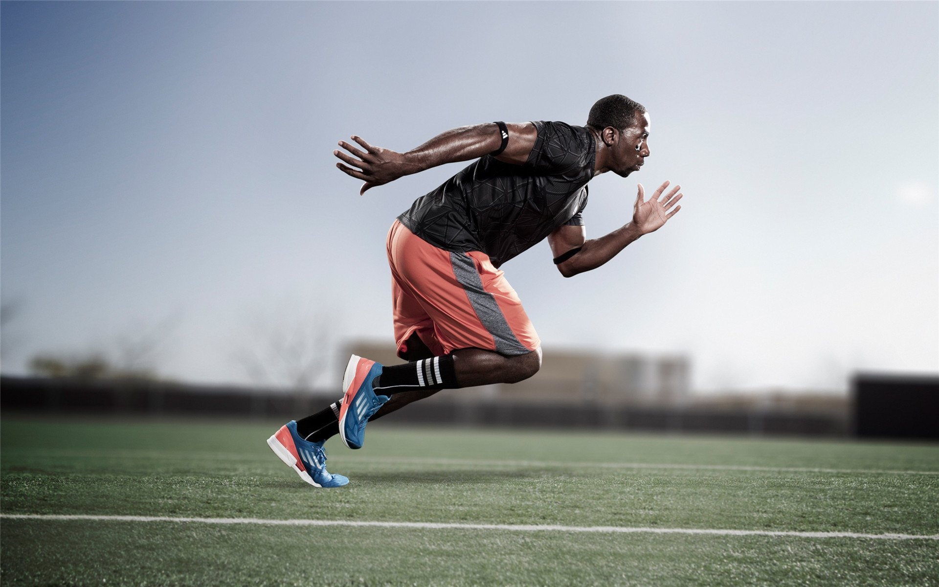 “世界武术冠军巅峰对决，高新体育中心剑拔弩张”